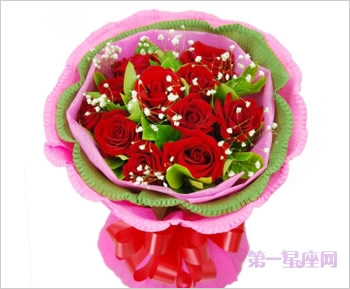 道歉送花,道歉送什么花合适?