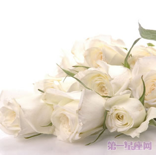 白玫瑰花语:送19朵白玫瑰代表什么意思?
