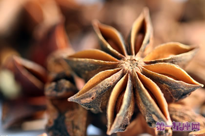 10月21日花语：茴香，生日花语权力