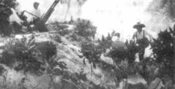 中国人民解放军取得西沙自卫反击战胜利(转自:历史上的今天。com)