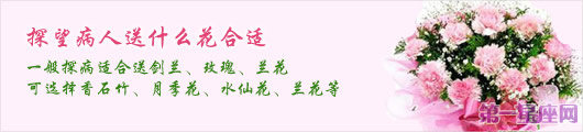 探望病人送什么花合适?