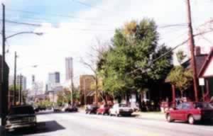 美国民权运动领袖小马丁·路德·金诞辰