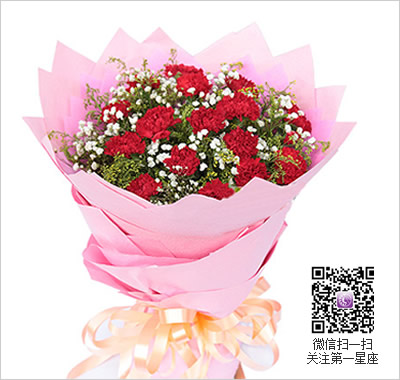 红色康乃馨花语，送红色康乃馨代表什么？