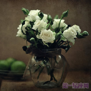 白玫瑰花语：9朵白玫瑰代表什么意思？